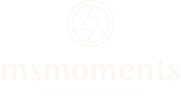 light logo